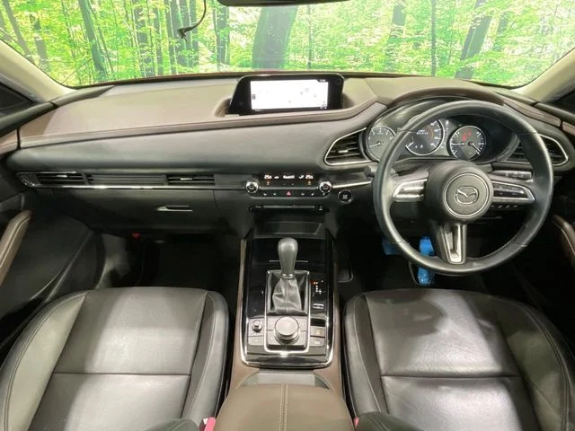 Mazda CX-30 20S　Lパッケージ photo 2