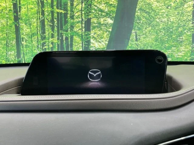 Mazda CX-30 20S　Lパッケージ photo 3