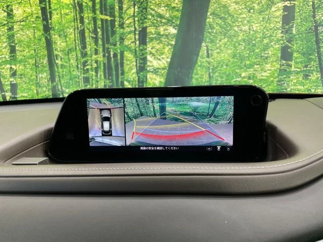 Mazda CX-30 20S　Lパッケージ photo 4