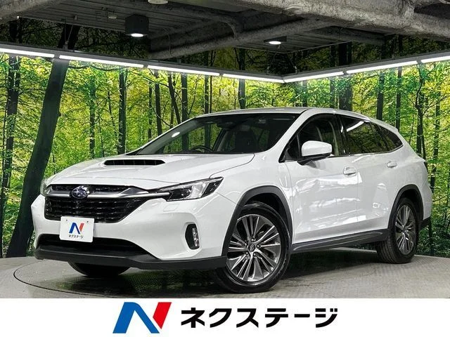 Subaru LEVORG LAYBACK リミテッド　EX 2024