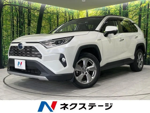 Toyota RAV4 HYBRID 4WD G 2020