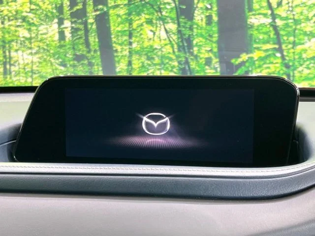 Mazda CX-30 20S　プロアクティブ photo 3