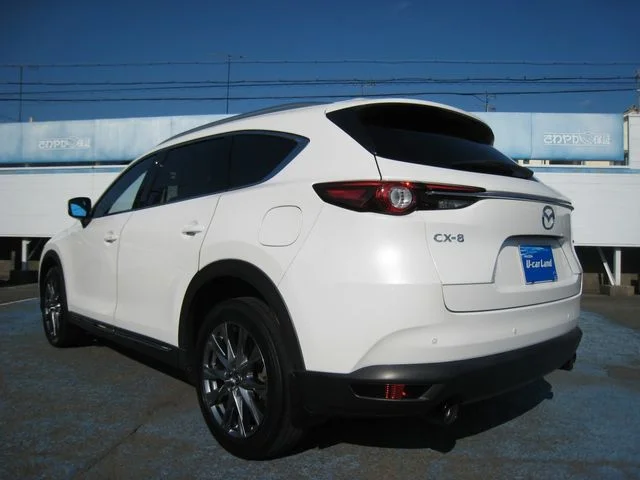 Mazda CX-8 XD　Lパッケージ photo 3