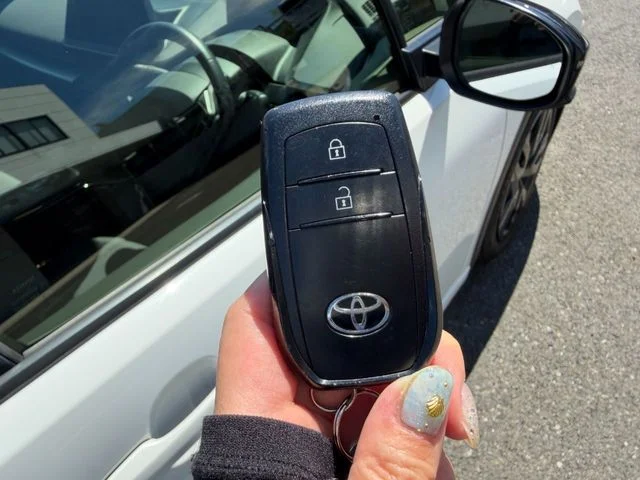 Toyota PRIUS X photo 4