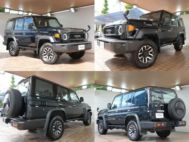 Toyota LANDCRUISER 70 AX photo 3