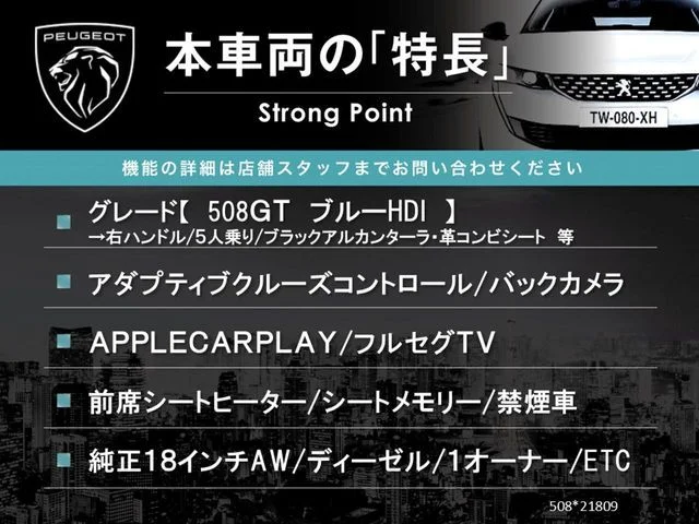 Peugeot PEUGEOT 508 GT　ブルーHDi photo 3