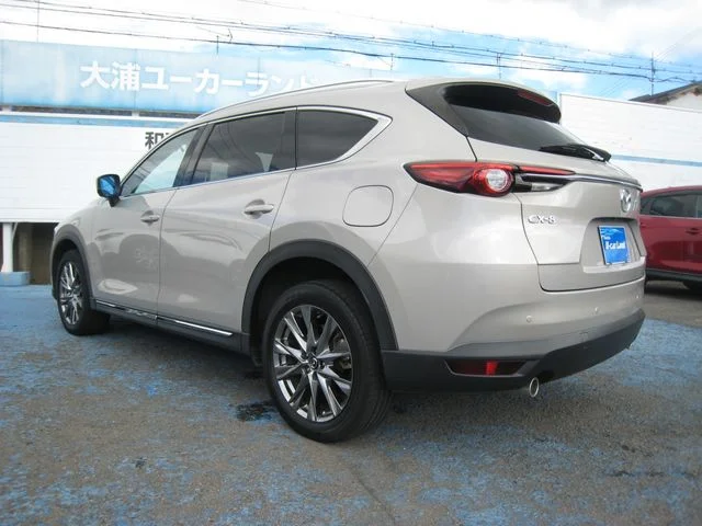 Mazda CX-8 25S　Lパッケージ photo 3