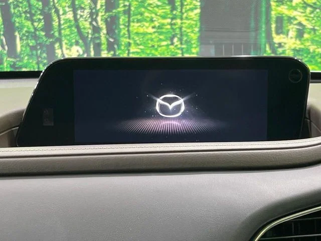 Mazda CX-30 20S　Lパッケージ　4WD photo 4