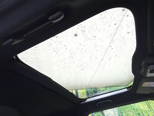 Daihatsu TAFT Gターボ　ダーククロムベンチャー photo 3