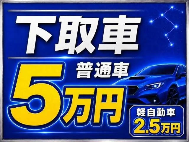 Subaru LEVORG STI　スポーツ　EX photo 2