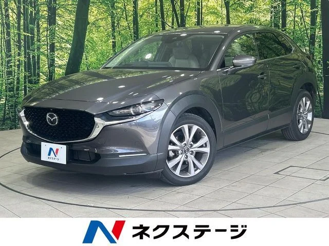 Mazda CX-30 20S　プロアクティブ　ツーリングセレク 2021