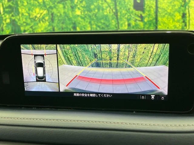 Mazda CX-30 20Sプロアクティブツーリングセレ4WD photo 4