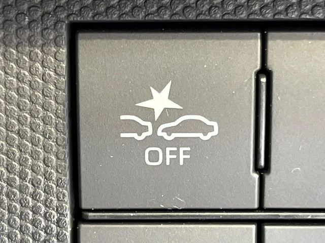 Daihatsu TAFT G photo 3