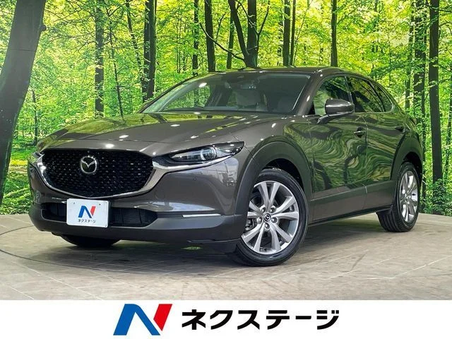 Mazda CX-30 20S　プロアクティブ 2020