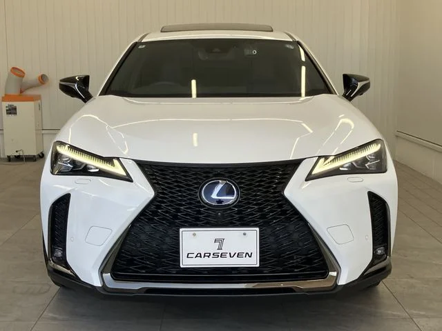 Toyota LEXUS UX250h Fスポーツ　スタイルブルー photo 2