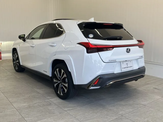 Toyota LEXUS UX250h Fスポーツ　スタイルブルー photo 3