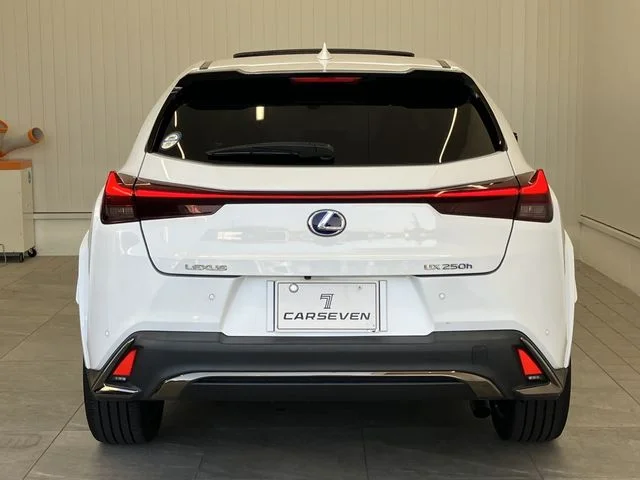 Toyota LEXUS UX250h Fスポーツ　スタイルブルー photo 4