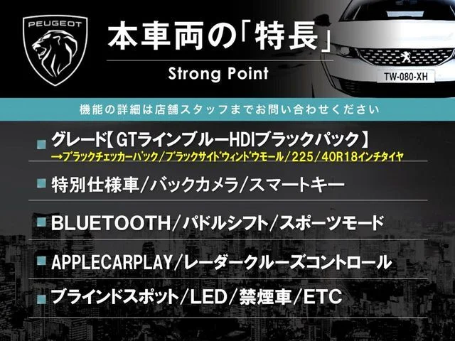 Peugeot PEUGEOT 308 GTライン　ブルーHDi　ブラックパック photo 3