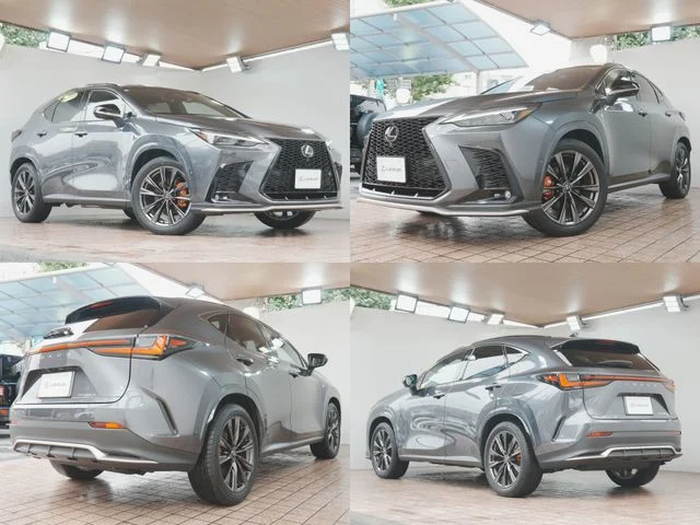Toyota LEXUS NX350h Fスポーツ photo 3