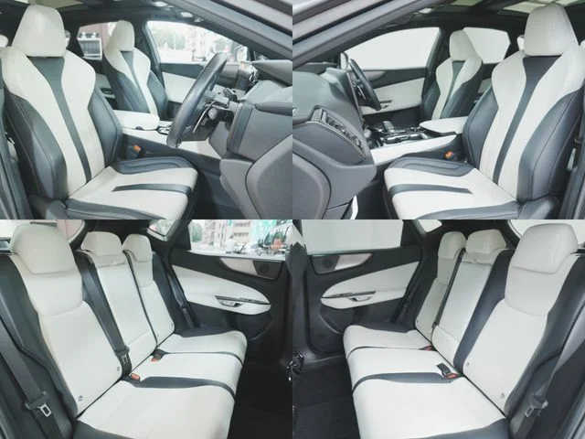 Toyota LEXUS NX350h Fスポーツ photo 4