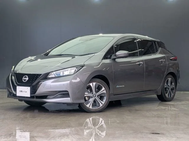 Nissan LEAF X　Vセレクション 2022