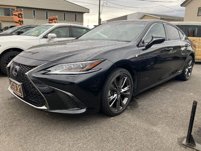 Toyota LEXUS ES300h Fスポーツ 2020