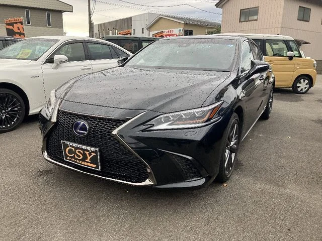 Toyota LEXUS ES300h Fスポーツ photo 2