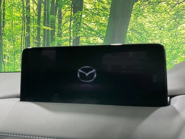 Mazda CX-5 XD　プロアクティブ photo 3