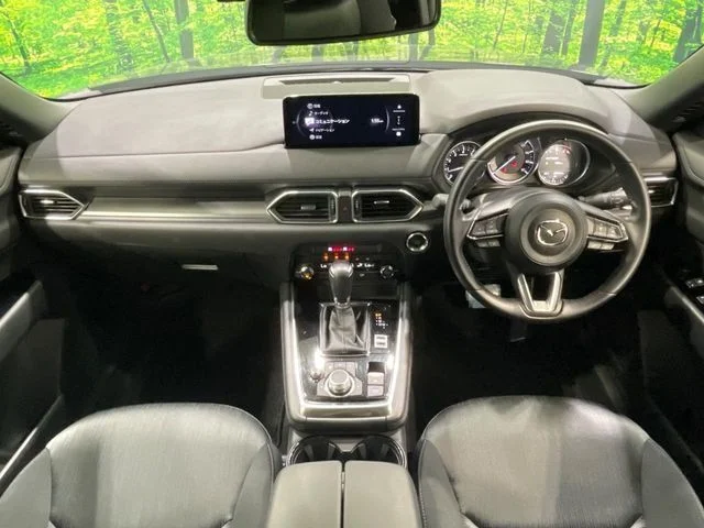 Mazda CX-8 25S photo 4