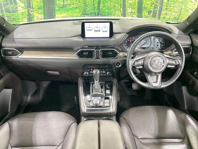 Mazda CX-8 25S　Lパッケージ photo 2