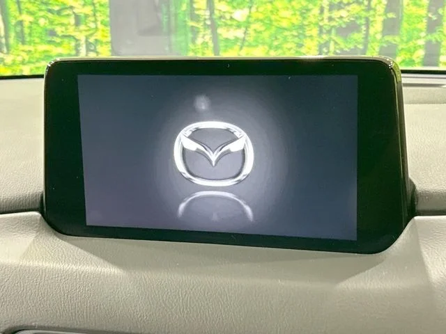 Mazda CX-8 25S　Lパッケージ photo 3