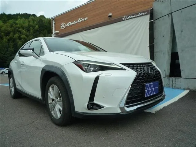 Toyota LEXUS UX250h 250hバージョンC 2019
