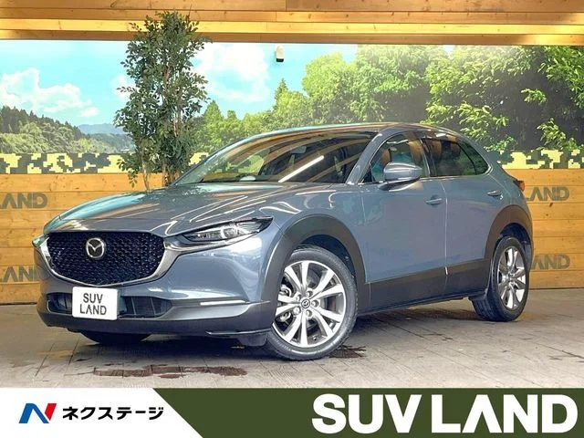 Mazda CX-30 20S　プロアクティブ 2019