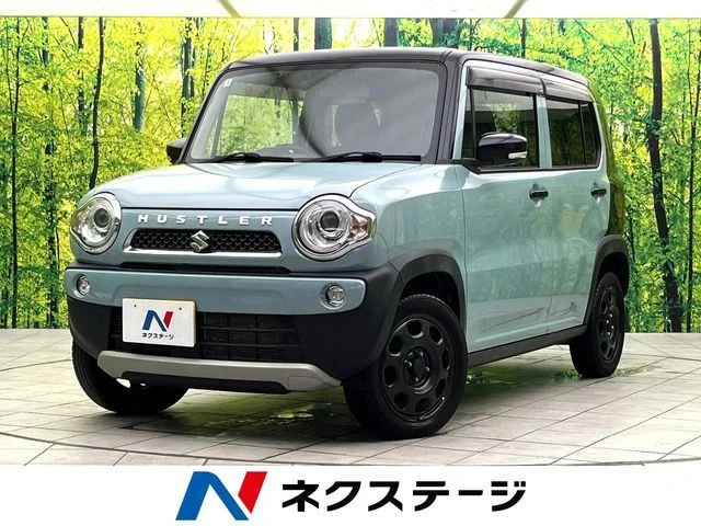 Suzuki HUSTLER タフワイルド 2019