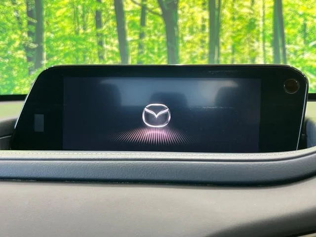 Mazda CX-30 XDプロアクティブツーリングセレクション photo 4