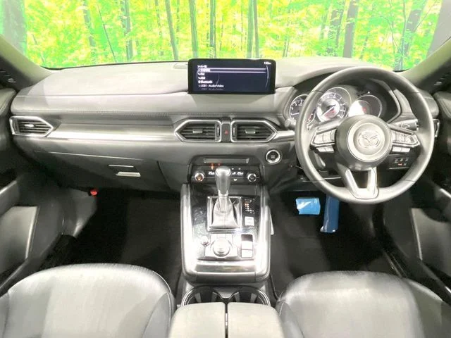 Mazda CX-8 25S photo 2