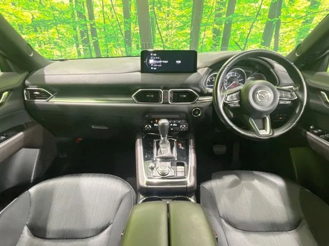 Mazda CX-8 4WD XD　プロアクティブ photo 2