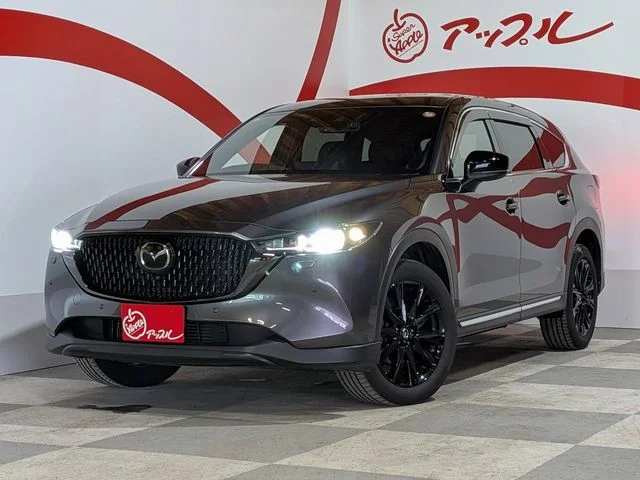 Mazda CX-8 XD　ブラックトーンエディション　4WD photo 2