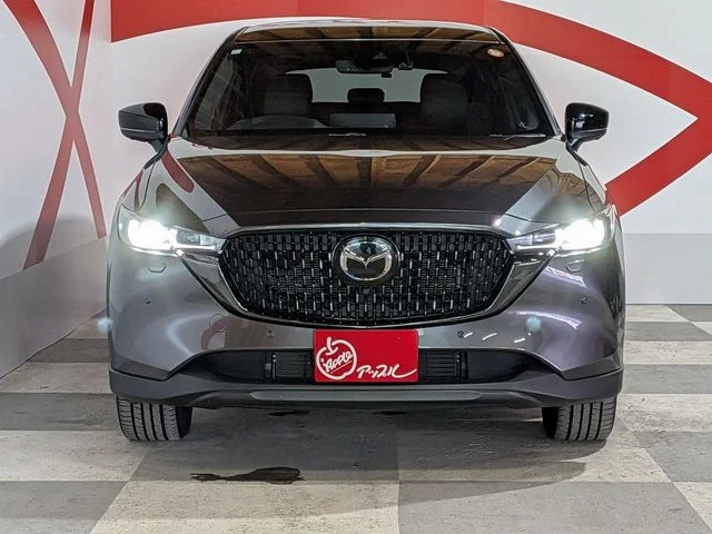 Mazda CX-8 XD　ブラックトーンエディション　4WD photo 4