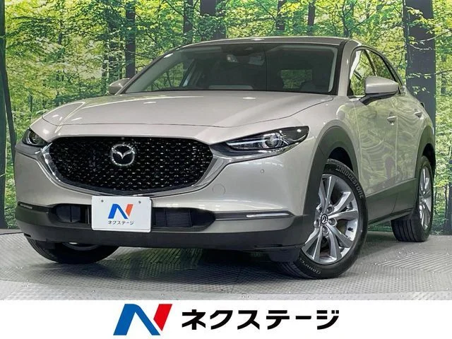 Mazda CX-30 20S　プロアクティブ　ツーリングセレク 2023