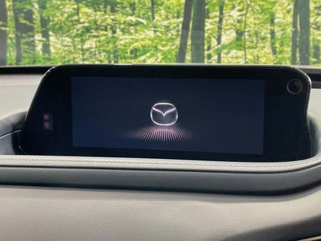 Mazda CX-30 20S　プロアクティブ　ツーリングセレク photo 3