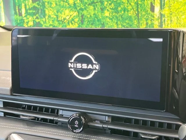 Nissan SERENA WG ハイウェイスター　V photo 3