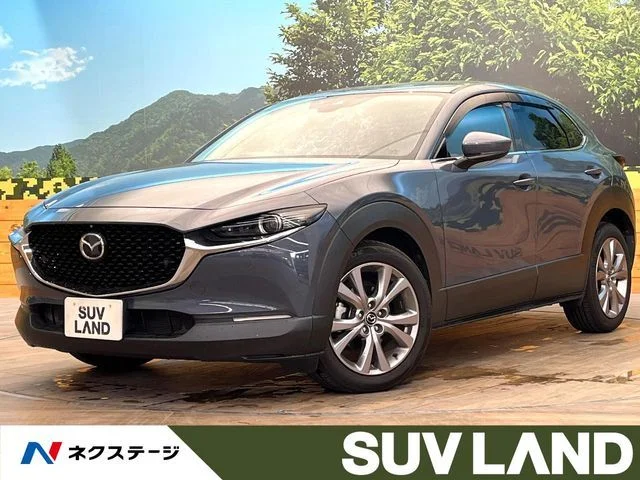 Mazda CX-30 20S　プロアクティブ　ツーリングセレク 2020