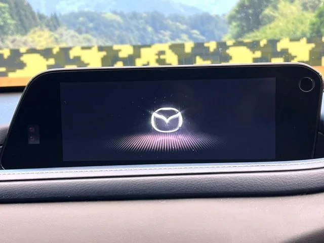 Mazda CX-30 20S　プロアクティブ　ツーリングセレク photo 3