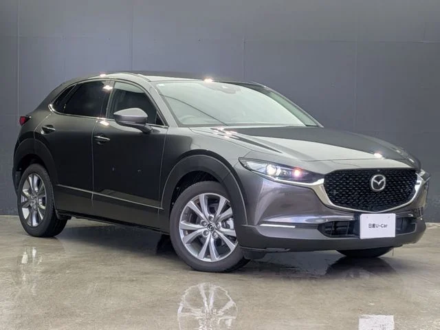 Mazda CX-30 XDプロアクティブツーリングセレクション photo 3