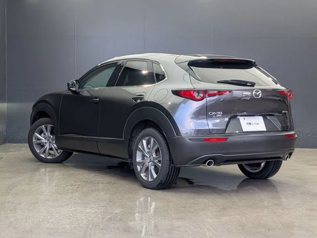Mazda CX-30 XDプロアクティブツーリングセレクション photo 4