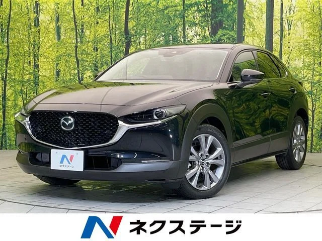 Mazda CX-30 20S　プロアクティブ　ツーリングセレク 2021
