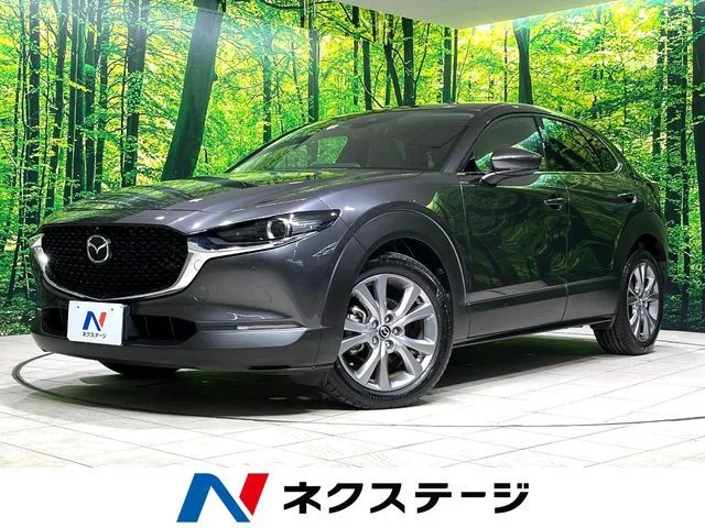 Mazda CX-30 20S　プロアクティブ　ツーリングセレク 2021