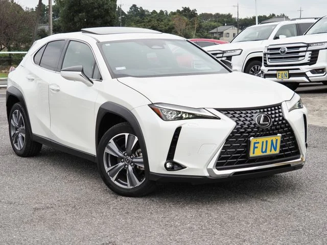 Toyota LEXUS UX300e バージョンL photo 3