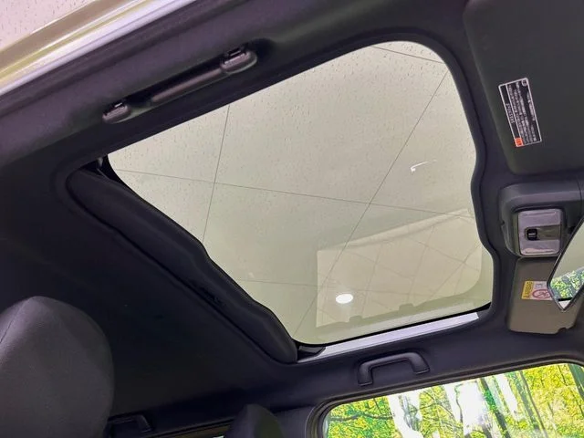 Daihatsu TAFT Gターボ　ダーククロムベンチャー photo 3